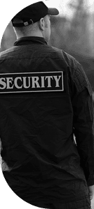 Vigilancia especializada